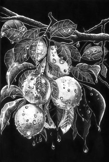 Essence Of Lemons
