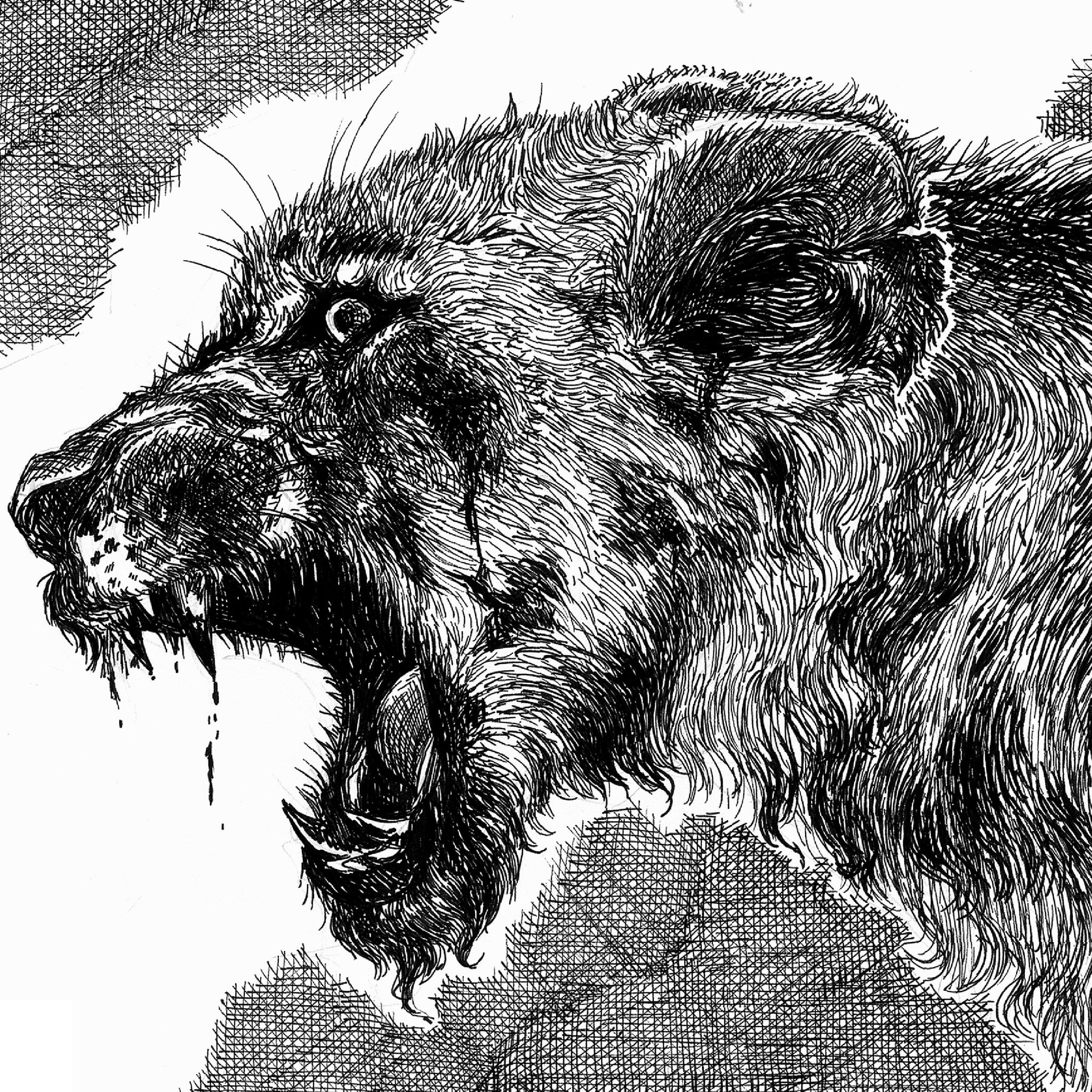 Fierce Beneath The Wound