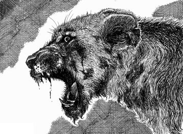 Fierce Beneath The Wound