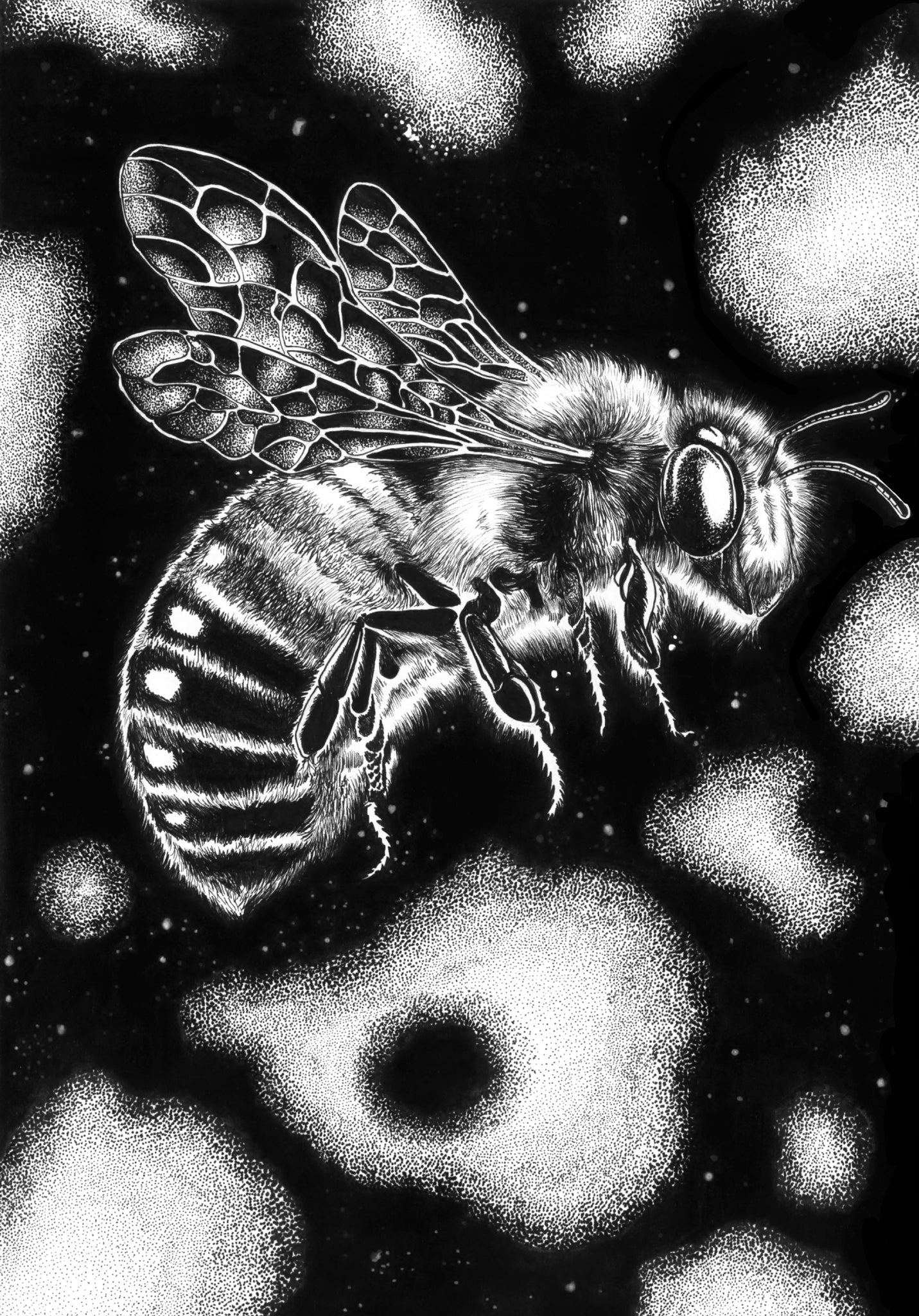 Galactic Nectar