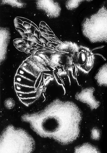 Galactic Nectar