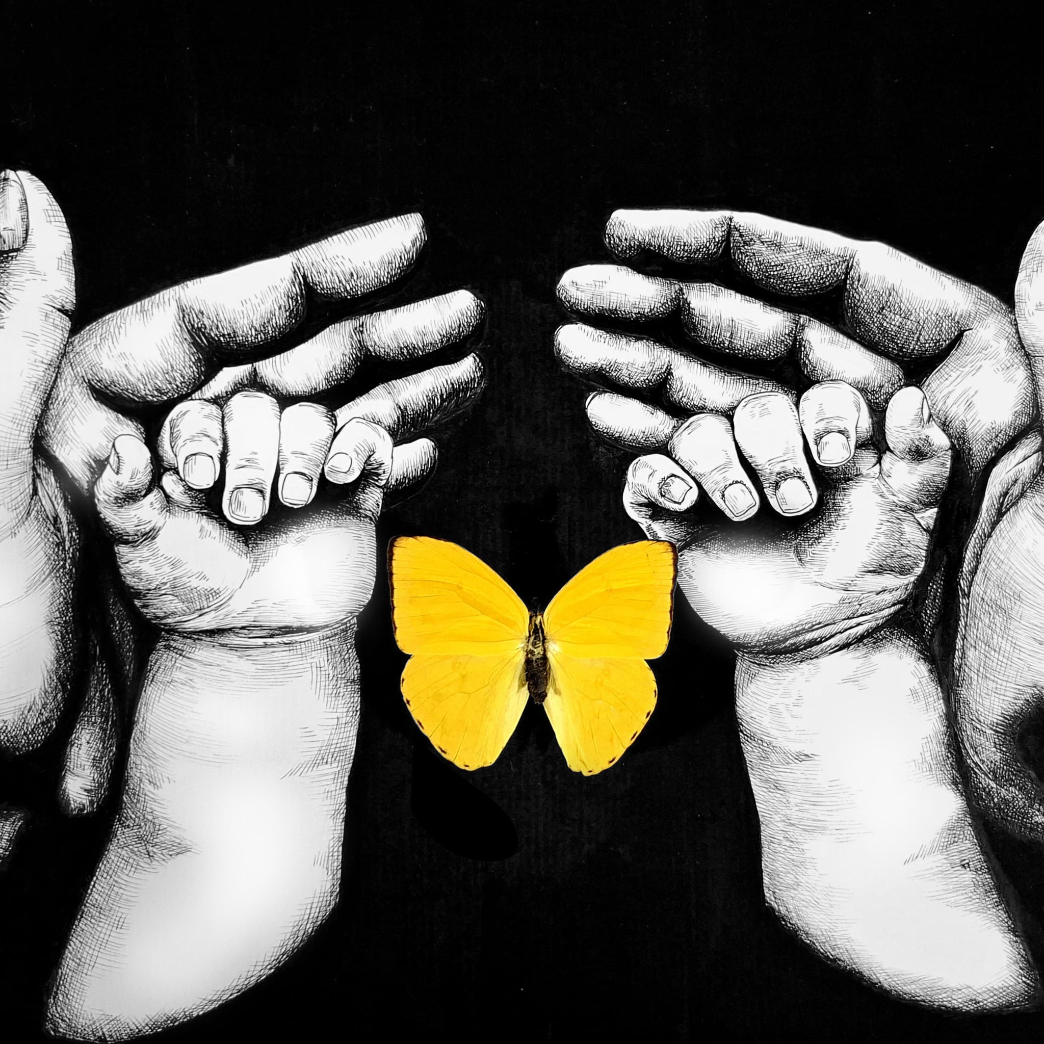 The Bound Of Life