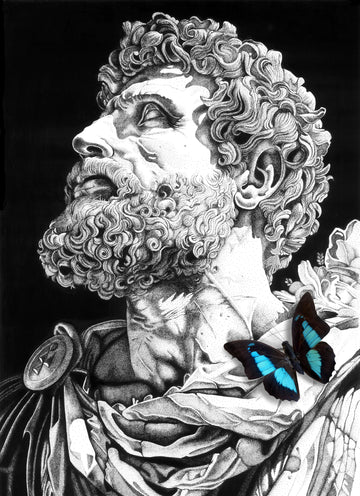 The Emperor And The Butterfly