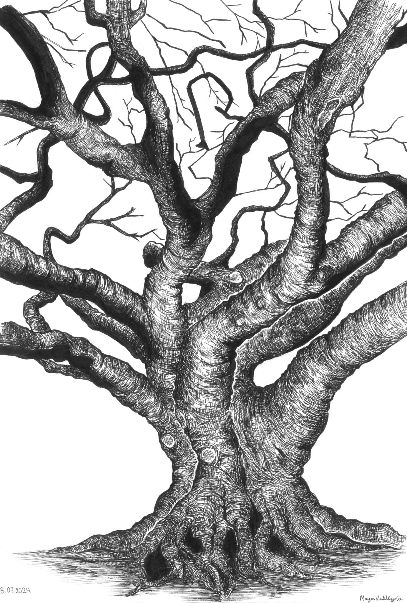 The Leafless Guardian