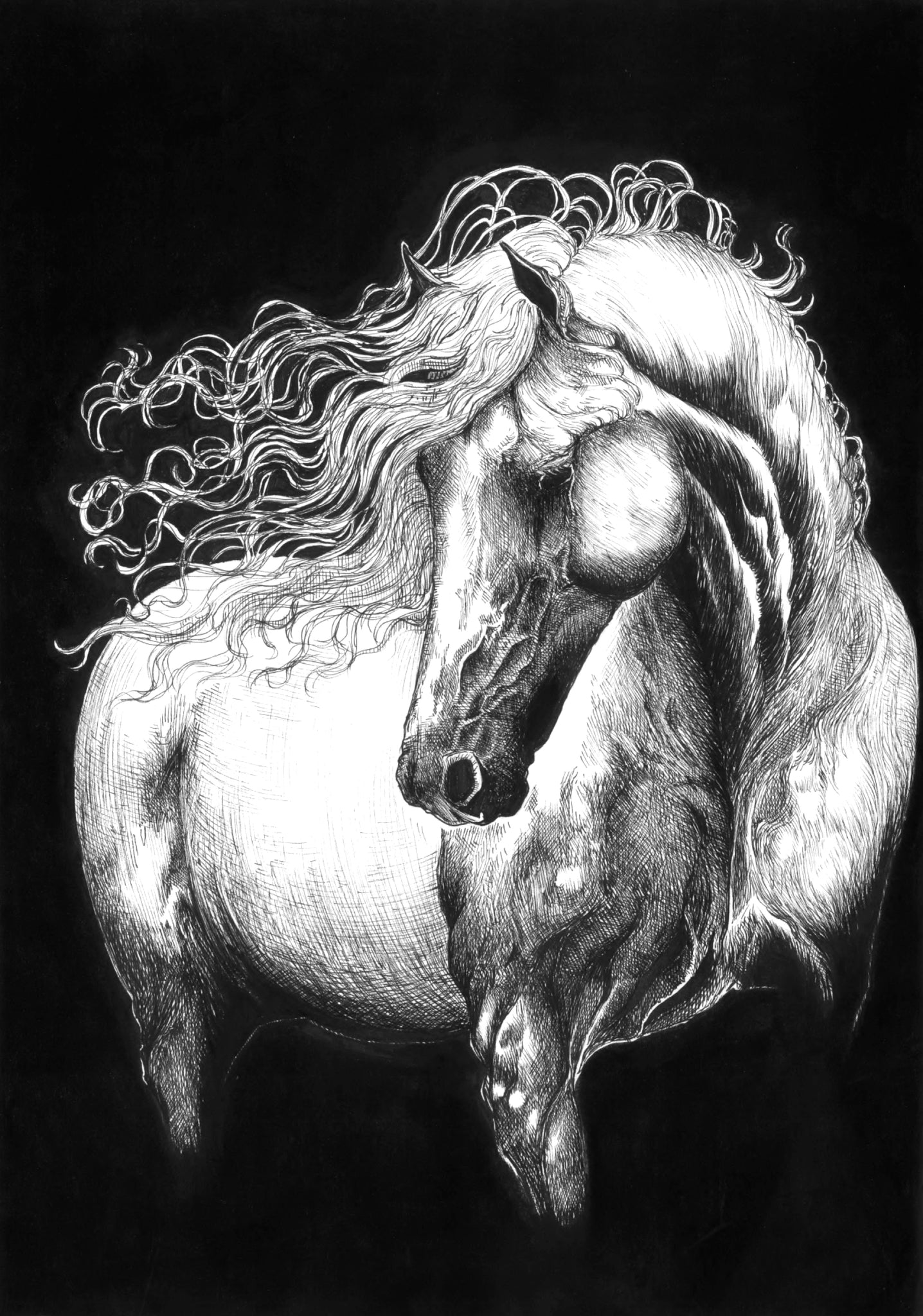 Untamed Grace