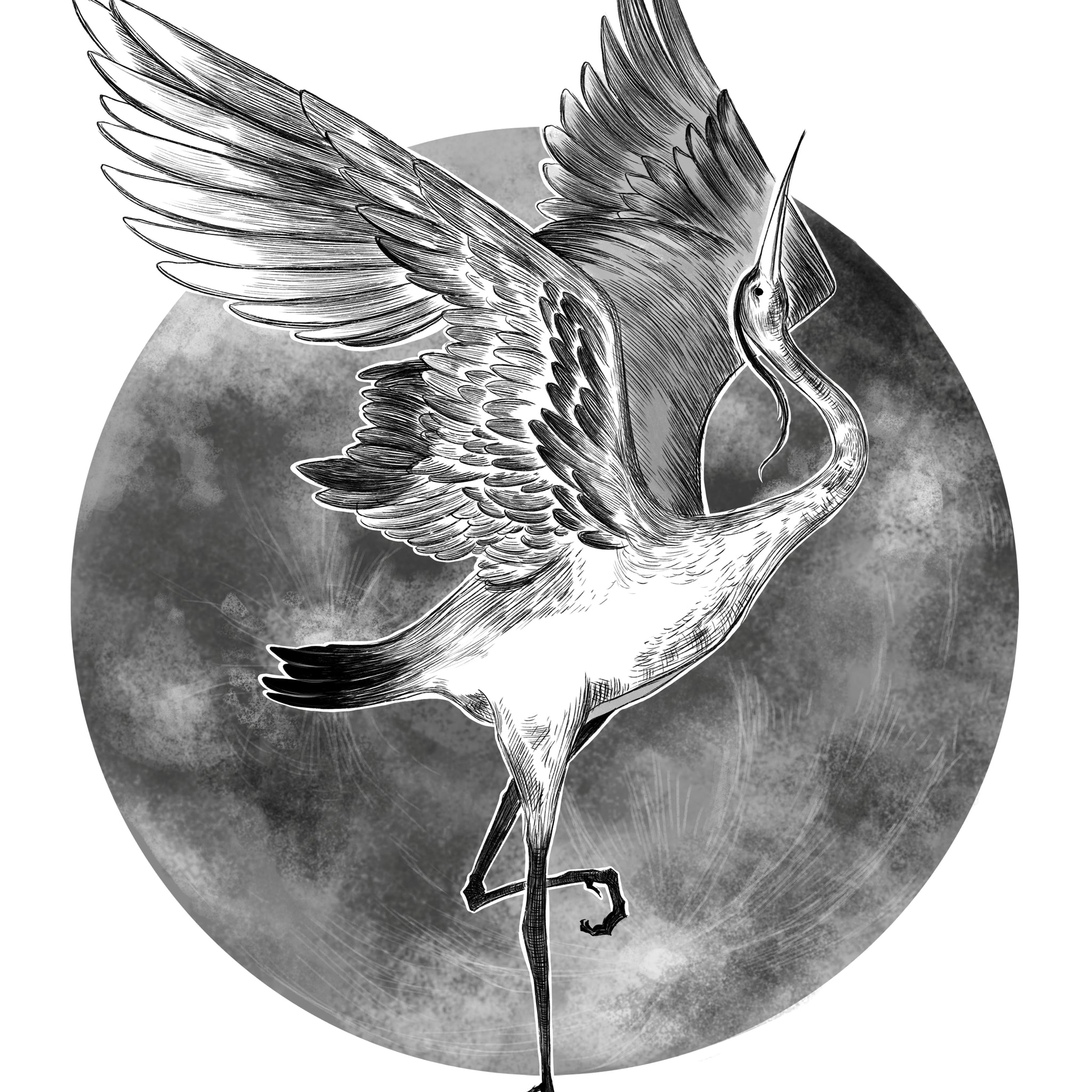Wings In Stillness