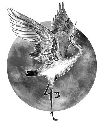 Wings In Stillness