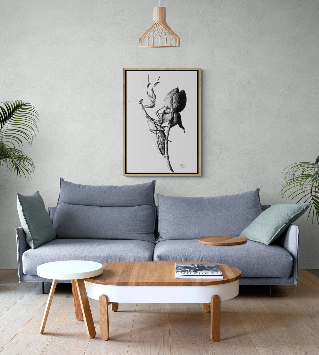 Tulip Hunter | Canvas Print
