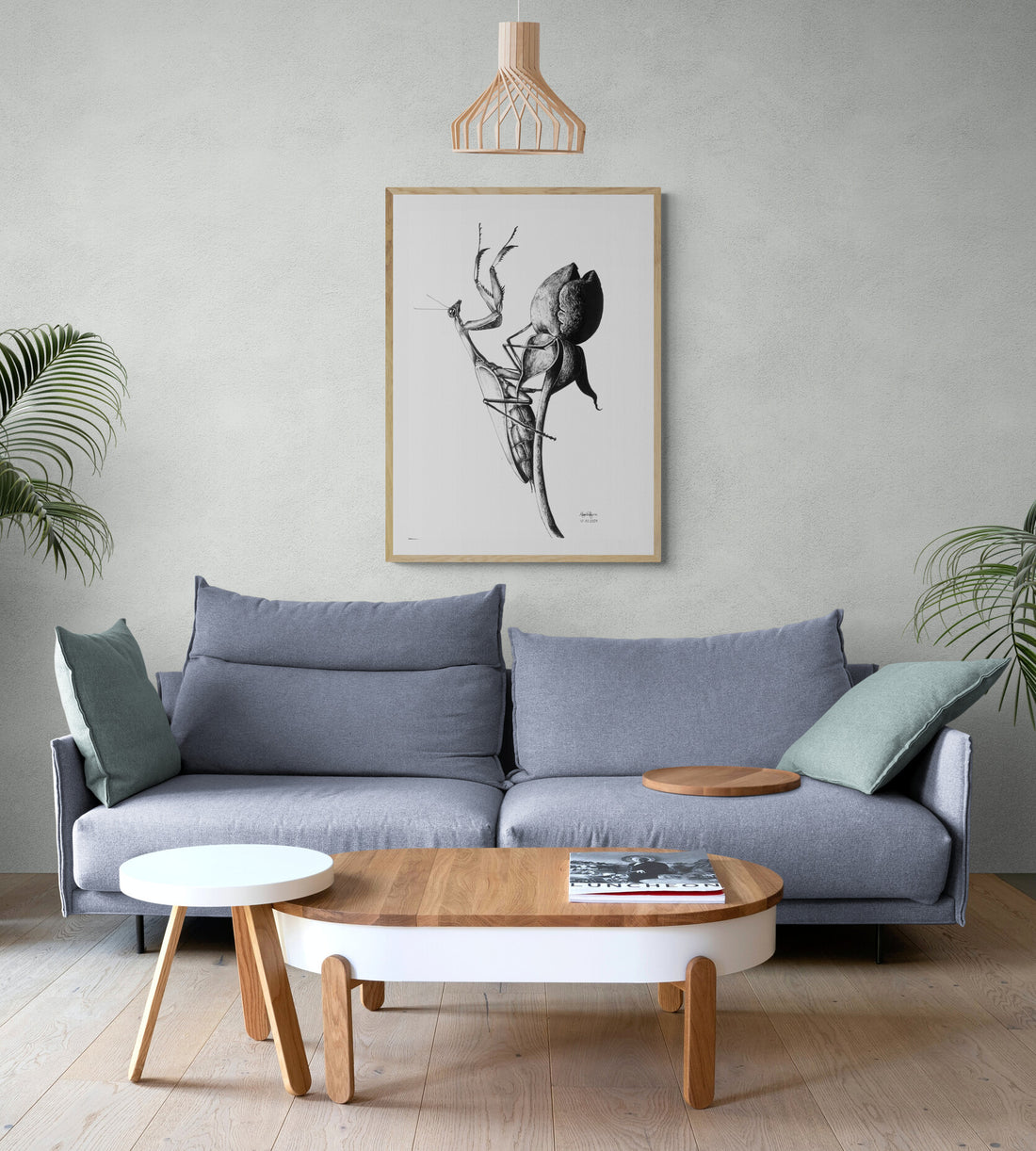 Tulip Hunter | Paper Print